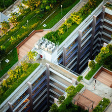 A green roof on an Indigenous real estate development