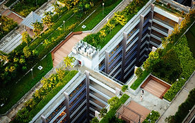Green Roofs