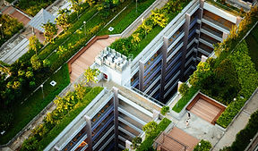 Green Roofs