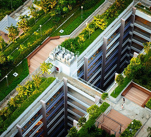Telhados verdes