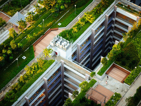 Green Roofs: A Look Back