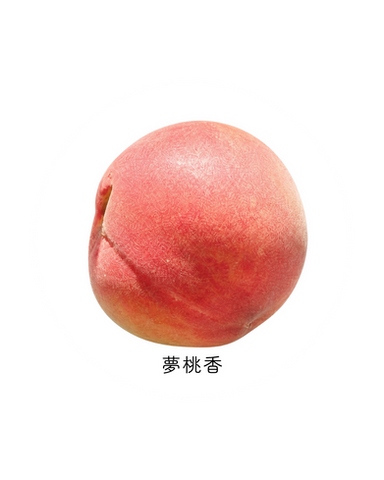 夢桃香 桃 山梨県勝沼産