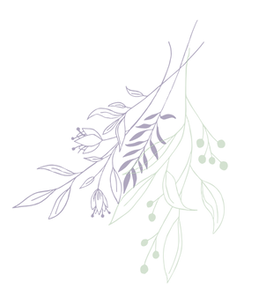 植物アクセント