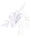 植物アクセント
