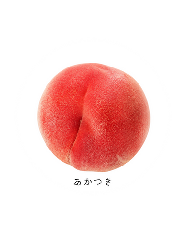 あかつき 桃 山梨県勝沼産