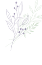 植物アクセント