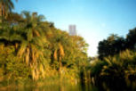 lat_templo1.jpg