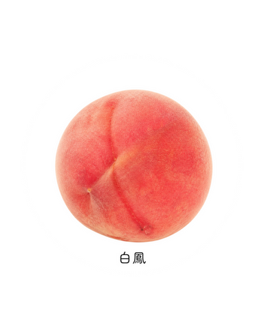 白鳳 桃 山梨県勝沼産