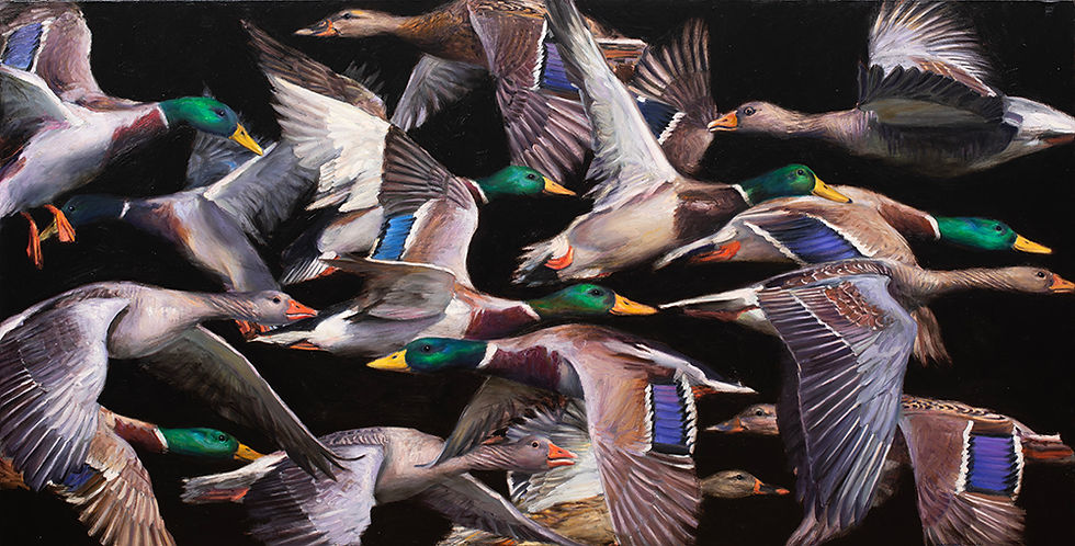 "Más vale pato volando II"