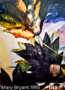 20230417_173252-EDIT_edited_edited.jpg