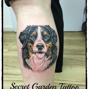 Sennenhund - Portrait tätowiert.