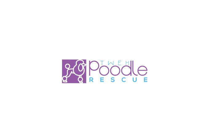 tweh poodle rescue
