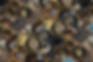 Challenge Coin Collection