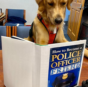 K9 Celly