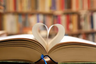 Recommended Readings Image.webp