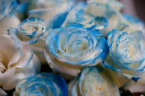 Backing the Blue Line - Flowers