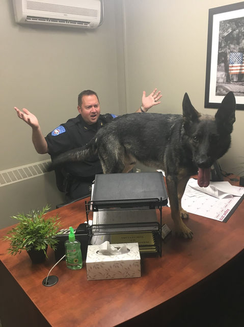 Eveleth Police Department - Office Image