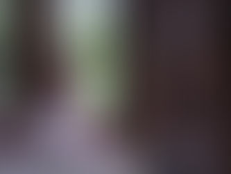 Let Love be our Prayers