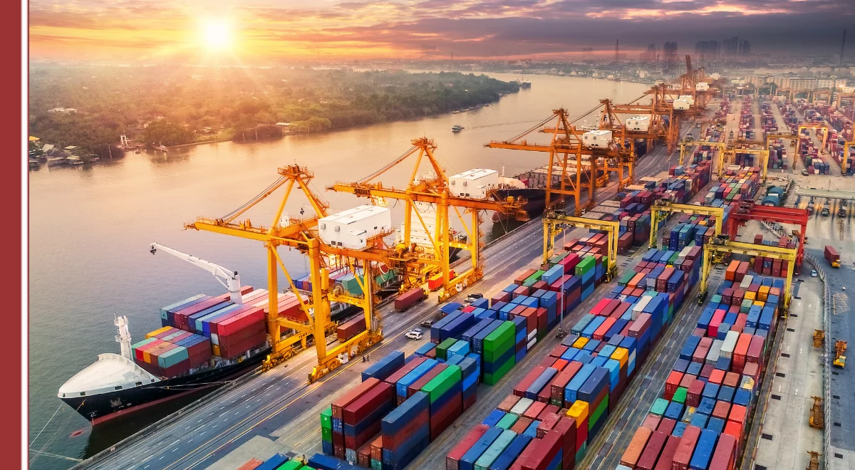 logistica.webp