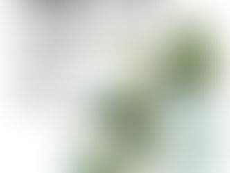 'Coffee Talks', an online event organized by The Spatial Just Platform