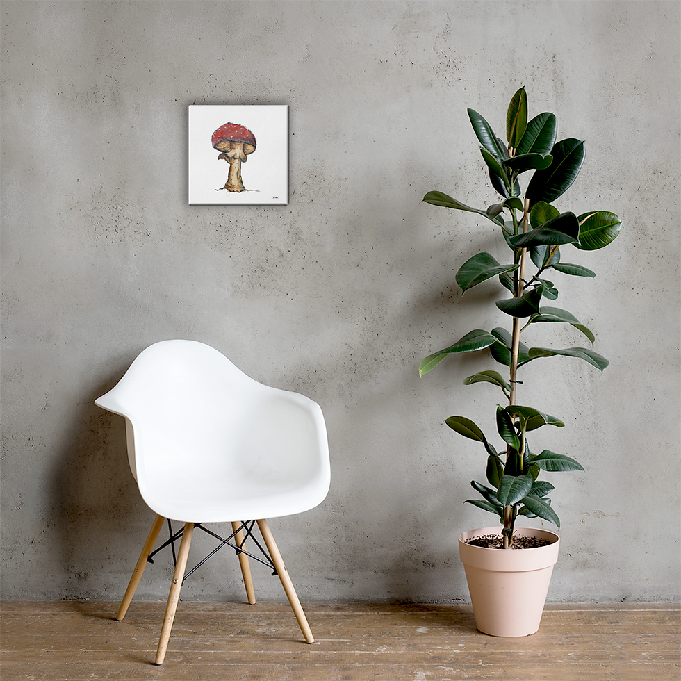 Thumbnail: The Majestic Mushroom - Canvas
