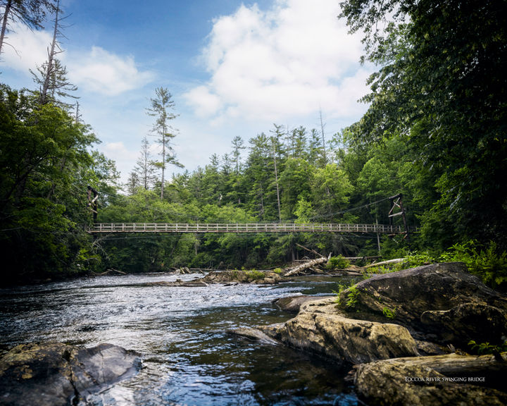 blueridge mountains, georgia, blueridge, Swinging Bridge Toccoa River, swinging bridge, toccoa river bridge 