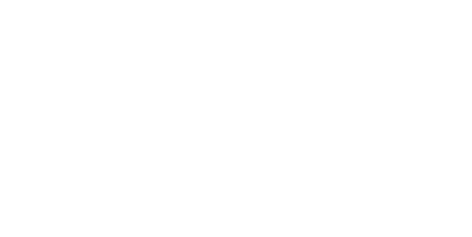 WRITERIGHT4LIFE FEATHER LOGO.png