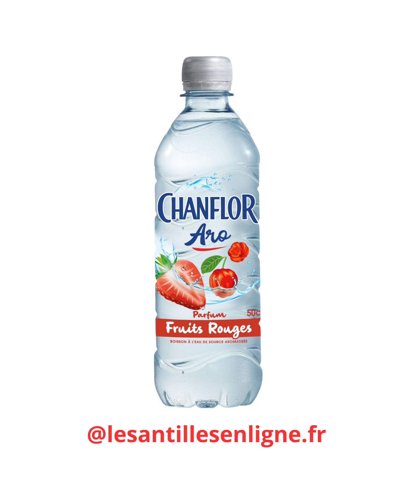 Chanflor Fruits Rouges 50cl