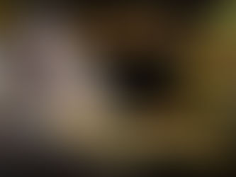 เว็บบาคาร่าที่นิยม