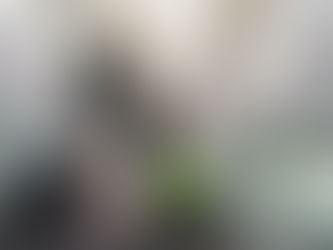 ฝุ่นพิษไม่มีผล “เราเที่ยวด้วยกัน” คึก