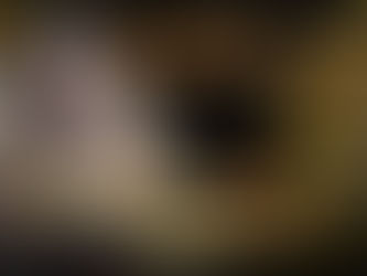 สูตรบาคาร่า sa gaming ฟรี