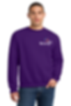 Unisex Crewneck Sweatshirt