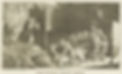 Burke_Murdering_Margery_Campbell.jpg