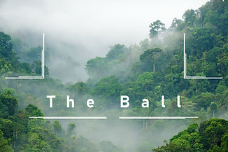 Jungle presentation F.jpg