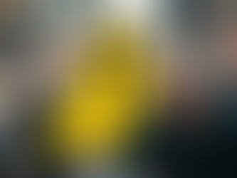 Erro ou Rejeição 452