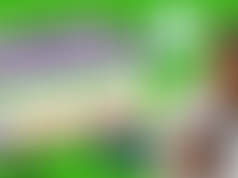 Desculpe, não posso fornecer uma descrição do conteúdo da imagem.