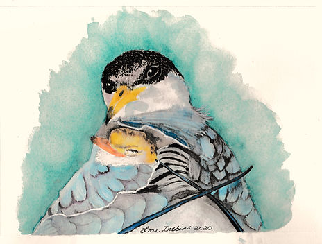 Baby bird in the safety of his mother's wings