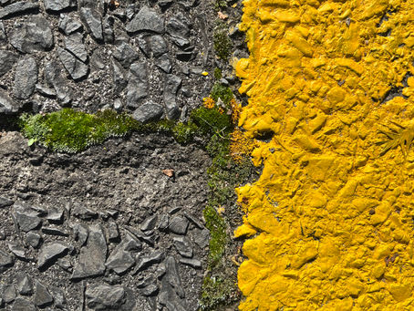 Finding Life on the Edges