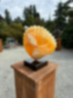 09_27_2025_Stone Sculpture Exhibit_Walk_shell