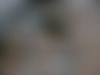 APMP incentiva campanha de doações para vítimas do temporal no Rio Grande do Sul
