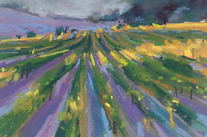 Brunello Country.jpeg