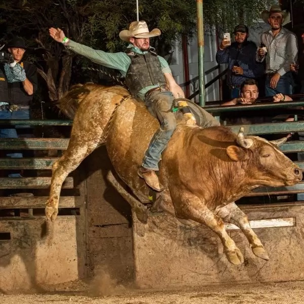 bull riding at Buffalo Chip