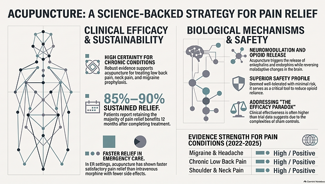 Acupuncture__Science-Backed_Pain_Relief.png