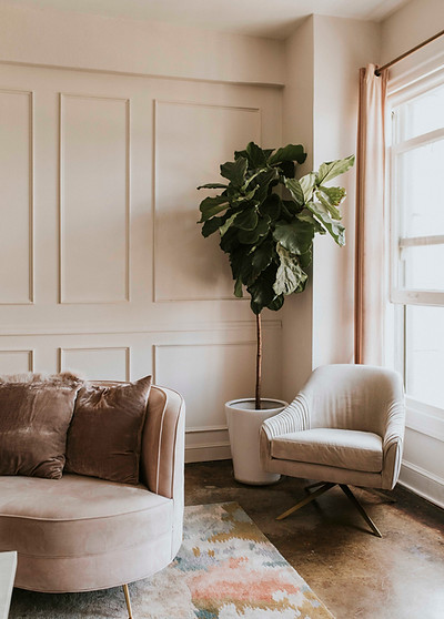 elegant-living-room-with-fiddle-leaf-fig-tree