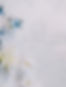 haute-stock-photography-subscription-fleur-collection-final-10.jpg