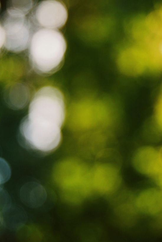 Bokeh_edited.jpg