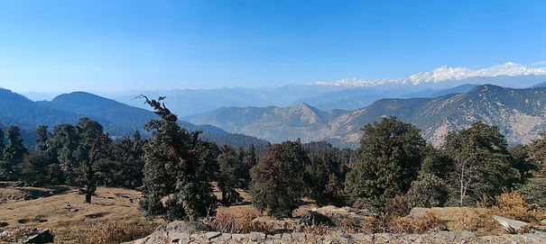 WhatsApp Image 2026-01-07 at 9.52.56 PM (1).jpeg