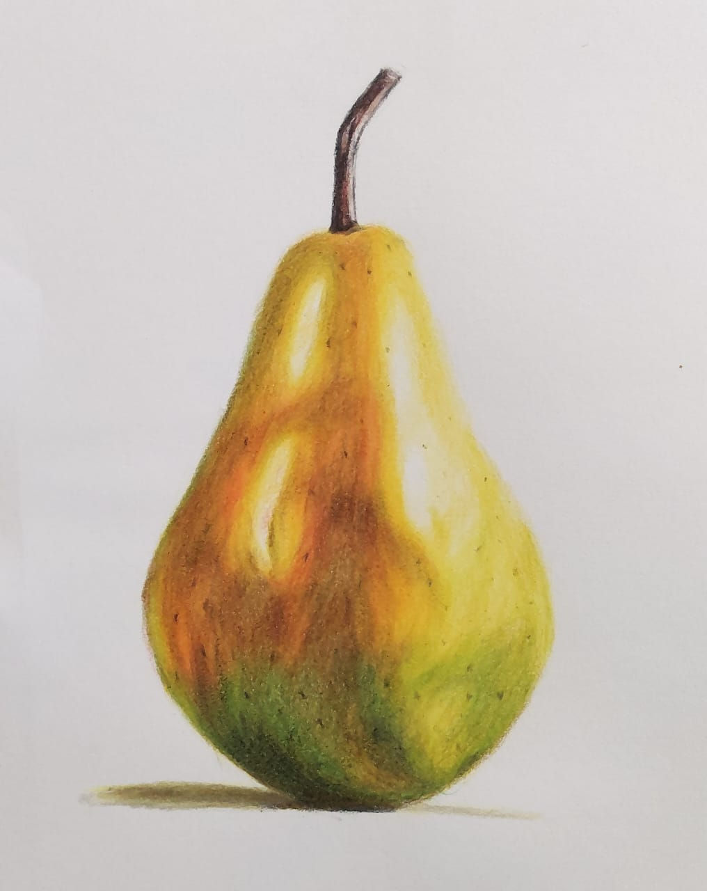 Colour Pencil Drawing