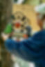 Image #LM2021.jpeg