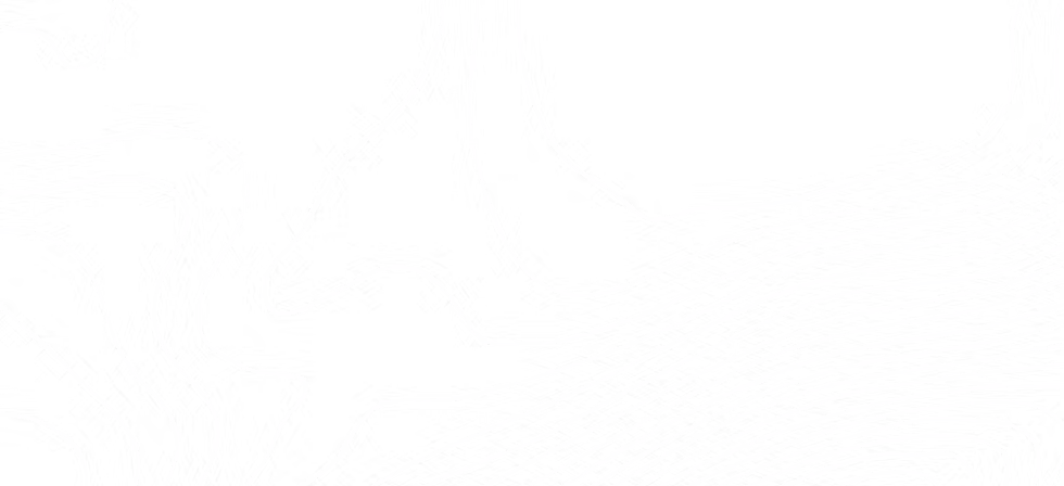 1372aa_6e09ba5ba1744449b9403a9d2d402ab7~mv2.avif
